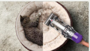 Dyson v11 removing pet hair from carpet and furniture 3rd Image